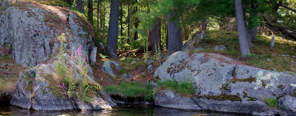 Charlseton Lake, Landsdowne ON
